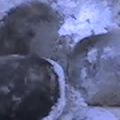 09 04 05 1534
