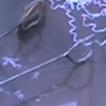 09 04 05 1535
