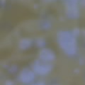 09 04 05 1645