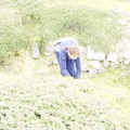 DSC00719