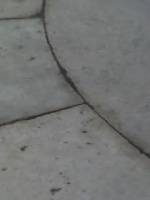 25 03 05 1157