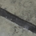 25 03 05 1158
