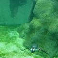 DSC00693