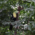 DSC00694.jpg