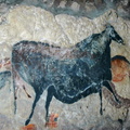 DSC 0151
