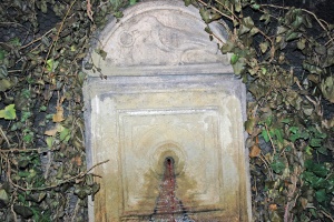 DSC 0168