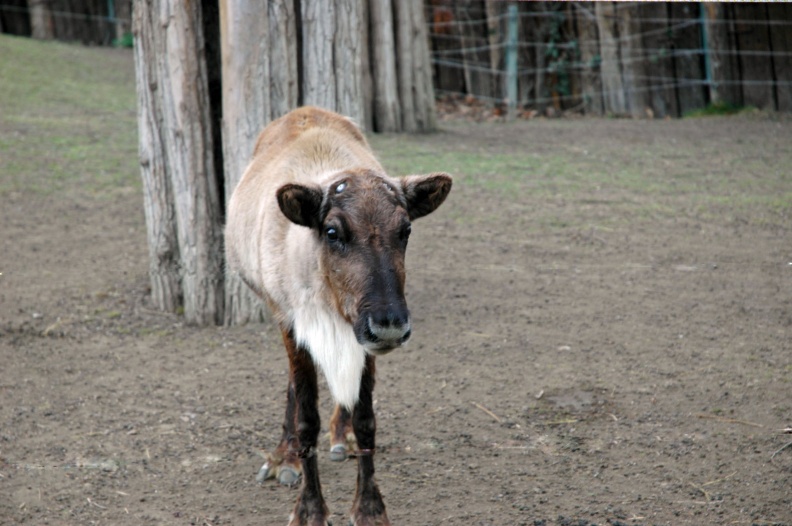DSC_0248_1.jpg