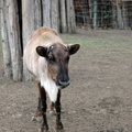 DSC_0248_1.jpg