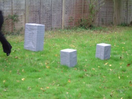 dsc00042