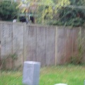 dsc00044