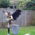 dsc00046