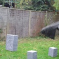 dsc00047