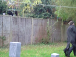 dsc00049