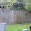 dsc00049