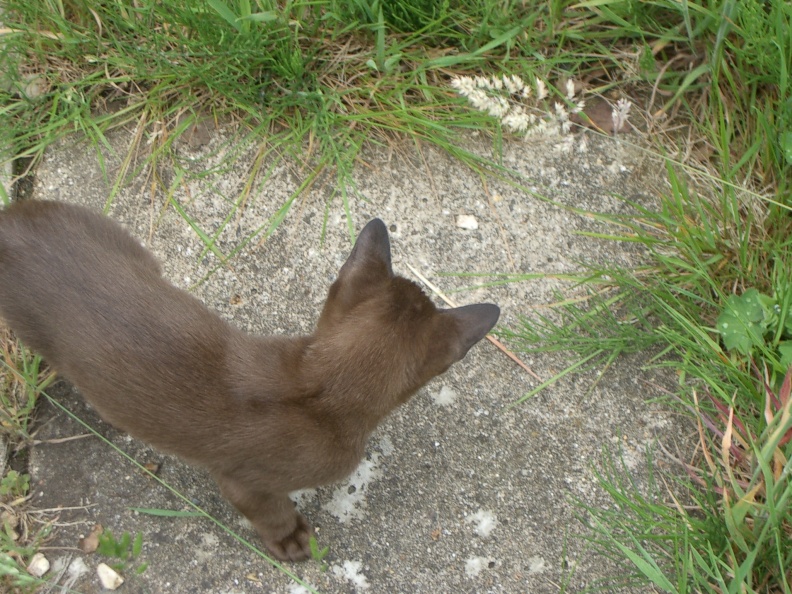 IMGP0325.jpg