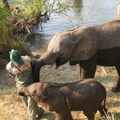 img-102