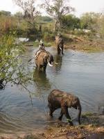 img-103