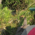 img-104