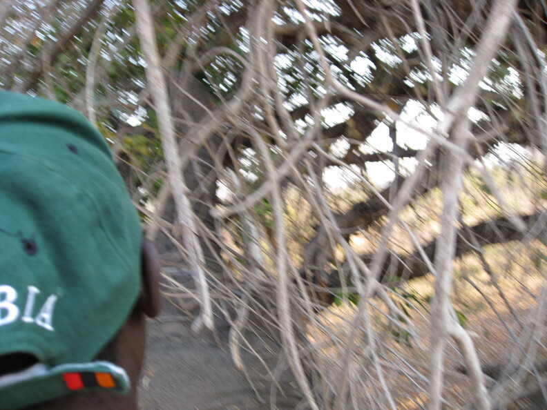 img-109.jpg