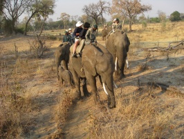 img-110