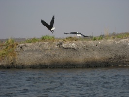 img-115