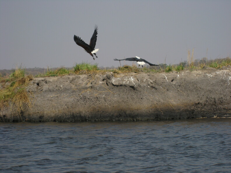 img-115.jpg