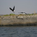 img-115