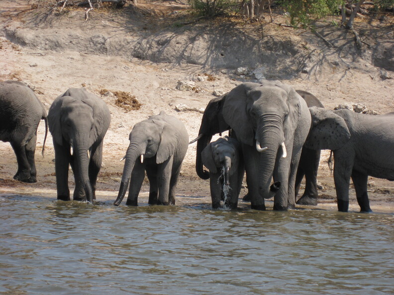 img-117.jpg