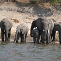 img-117