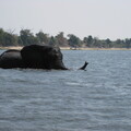 img-119