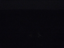 img-12