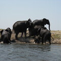img-120