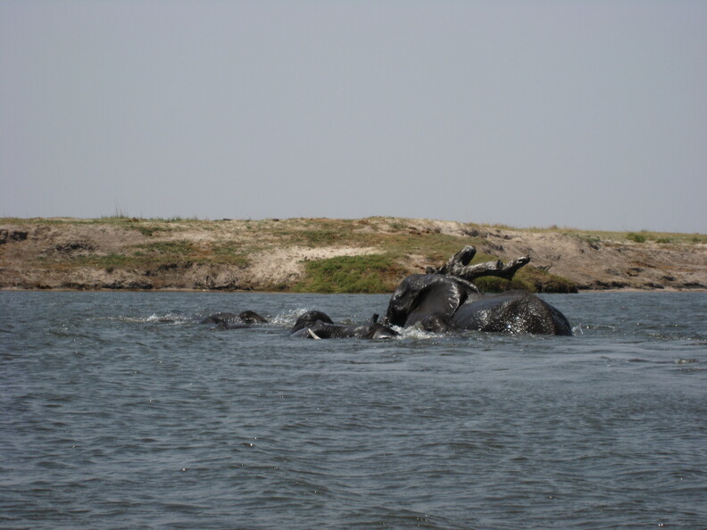 img-122.jpg