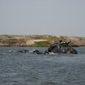 img-122