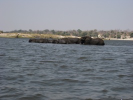 img-123