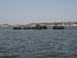 img-124