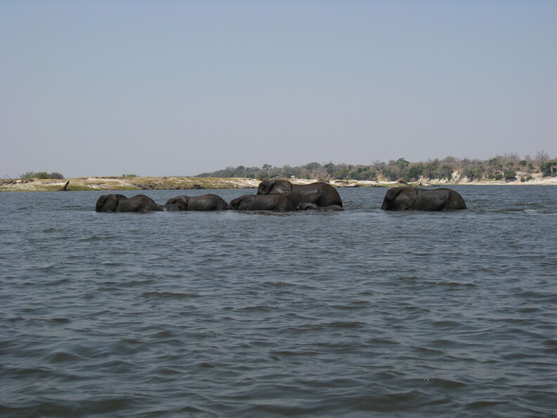 img-124.jpg