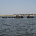 img-124