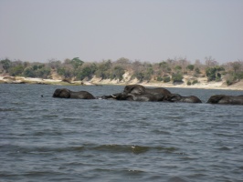 img-125