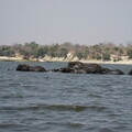 img-125