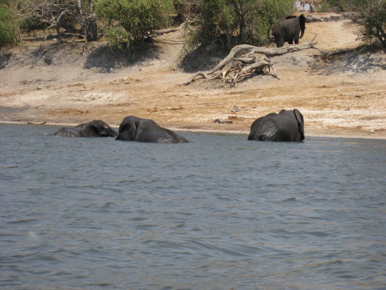 img-126.jpg