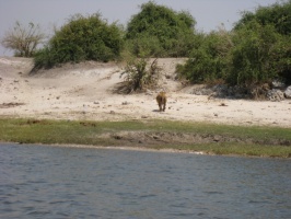 img-127