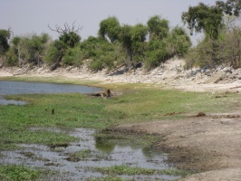 img-128