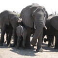 img-129