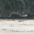 img-132