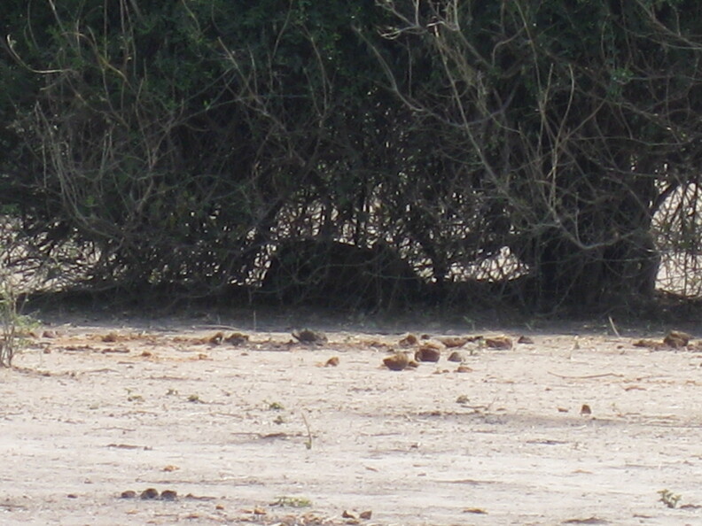 img-133.jpg