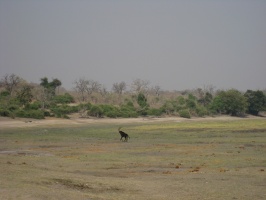 img-134