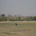 img-134