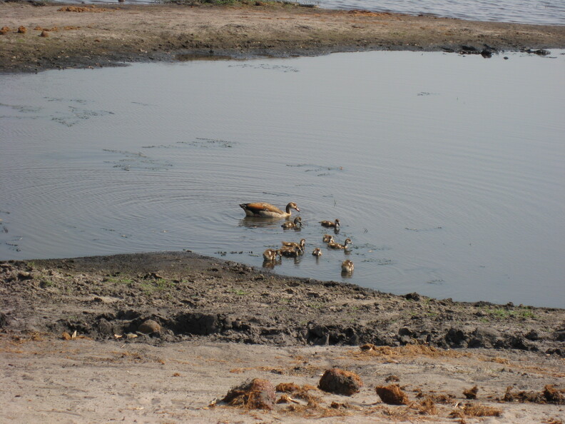 img-135.jpg