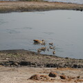 img-135